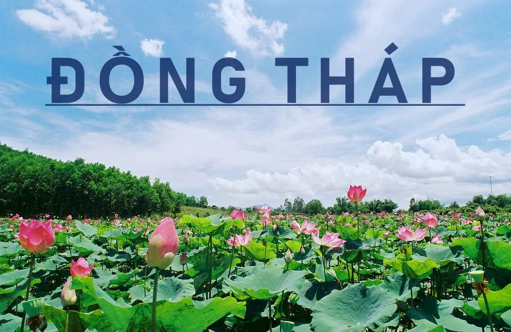 What to Eat When You Visit Dong Thap