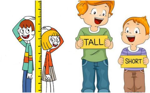 The height is improved by supplementing these foods daily