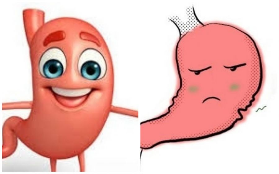 Sự &ldquo;Phi thường&rdquo; của nước cốt dừa mang lại cho ch&uacute;ng ta