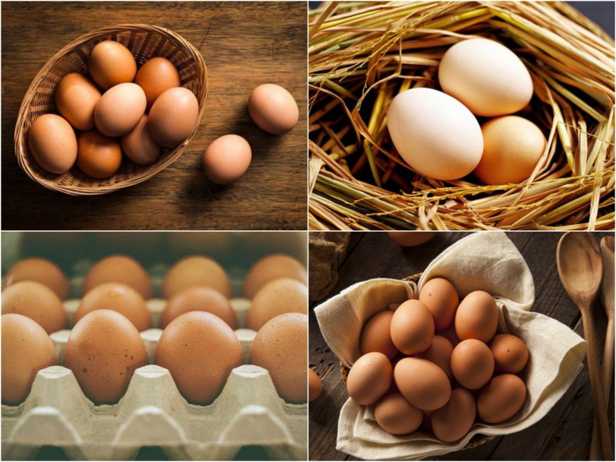 16 mẹo hữu &iacute;ch cho cuộc sống hằng ng&agrave;y