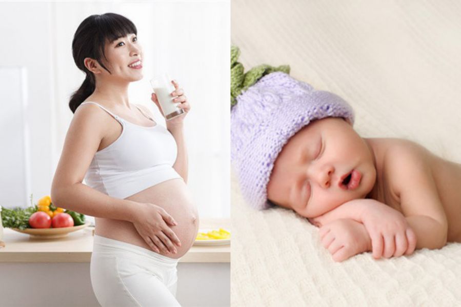 C&ocirc;ng dụng của &ldquo;quả &Oacute;c Ch&oacute;&rdquo; d&agrave;nh cho con người