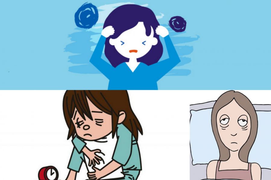 C&ocirc;ng dụng của &ldquo;quả &Oacute;c Ch&oacute;&rdquo; d&agrave;nh cho con người