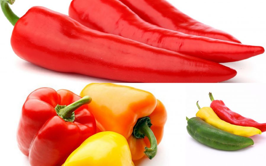 H&atilde;y d&ugrave;ng &ldquo;Thực phẩm&rdquo; để chăm s&oacute;c đ&ocirc;i mắt của bạn