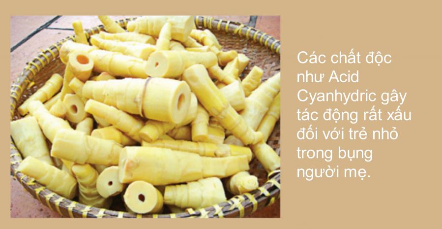 Top 16 thực phẩm mà các bà bầu nên tránh xa