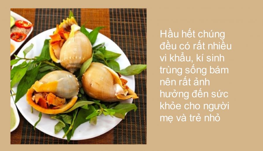 Top 16 thực phẩm mà các bà bầu nên tránh xa