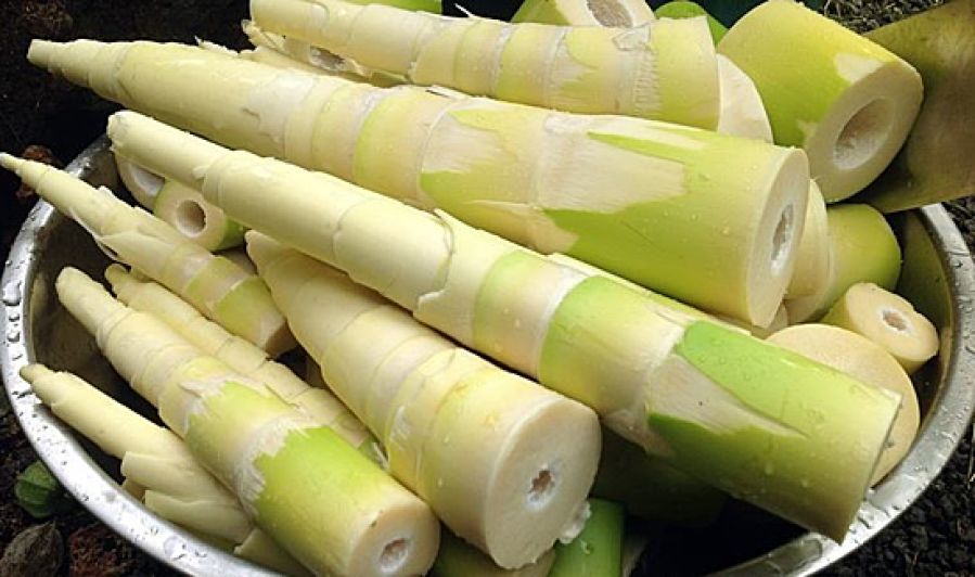 Mầm bệnh từ những thực phẩm chay kh&ocirc;ng được bảo quản, chế biến đ&uacute;ng c&aacute;ch