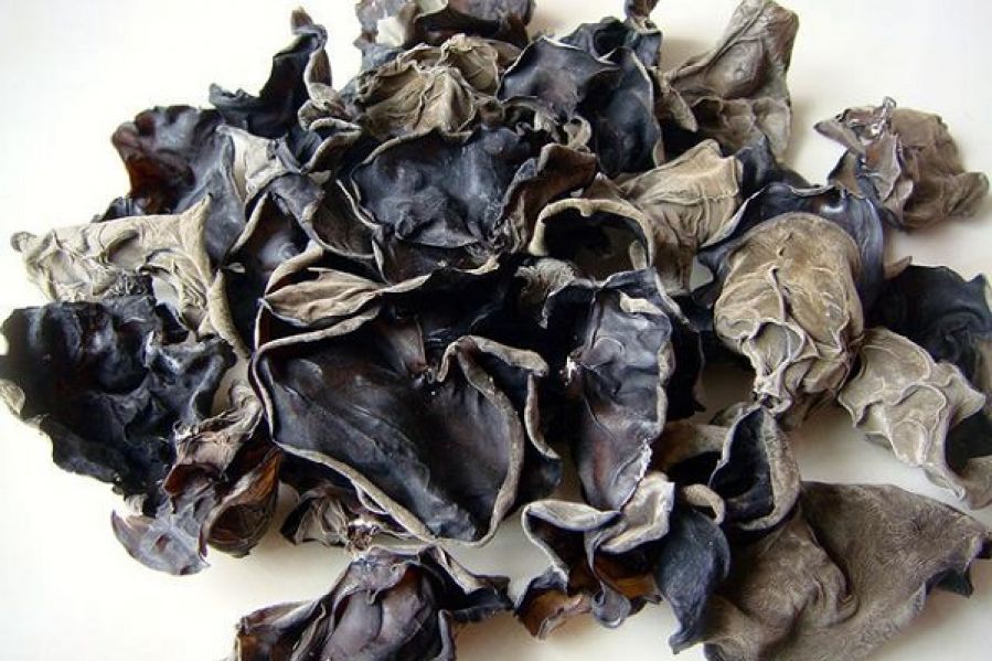 Mầm bệnh từ những thực phẩm chay kh&ocirc;ng được bảo quản, chế biến đ&uacute;ng c&aacute;ch