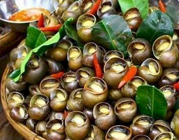 Món nhanh dưới 30 phút