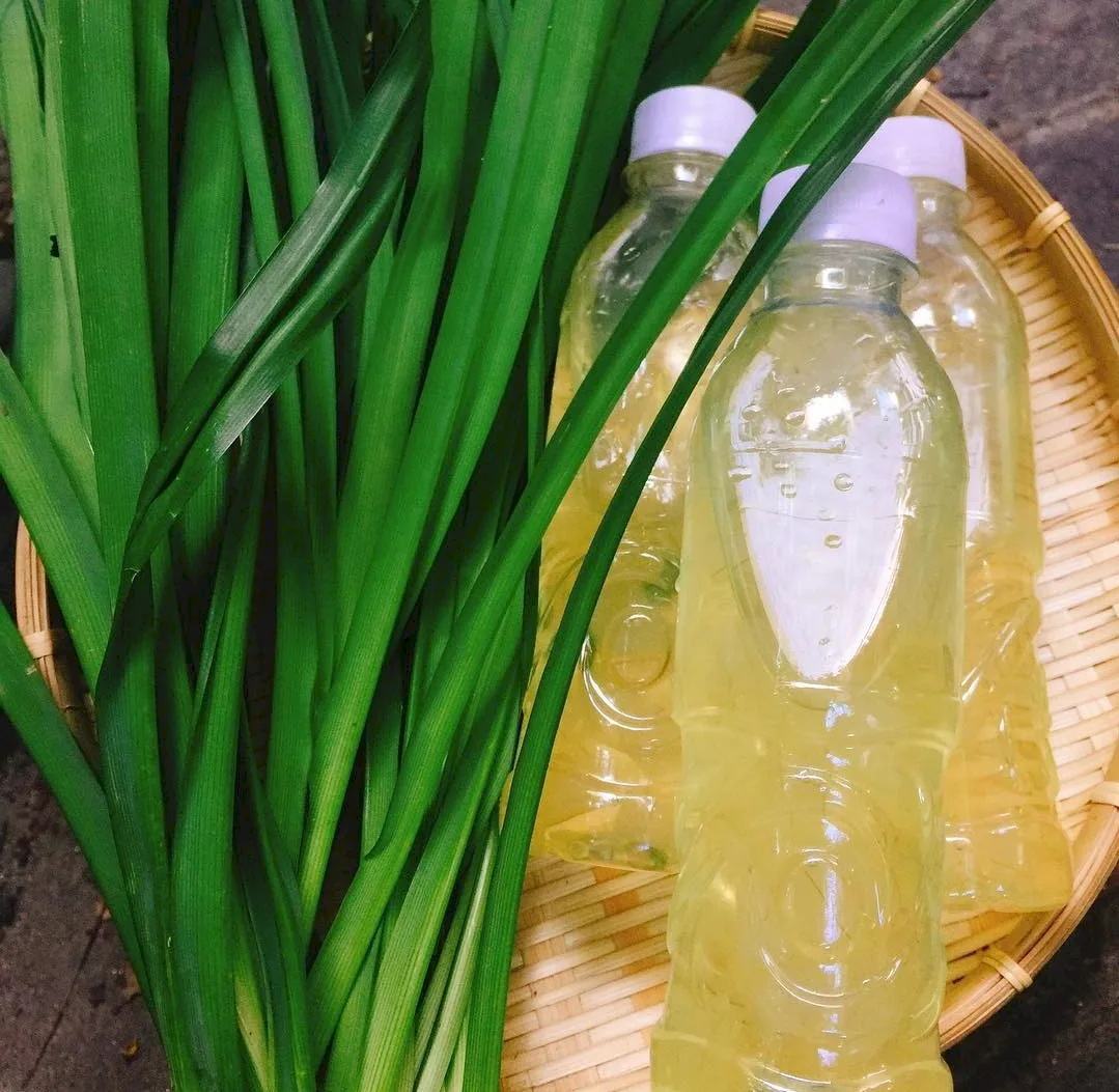 Refreshing Aloe Vera with Rock Sugar