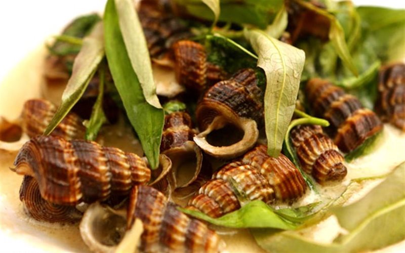 Ốc len xào dừa