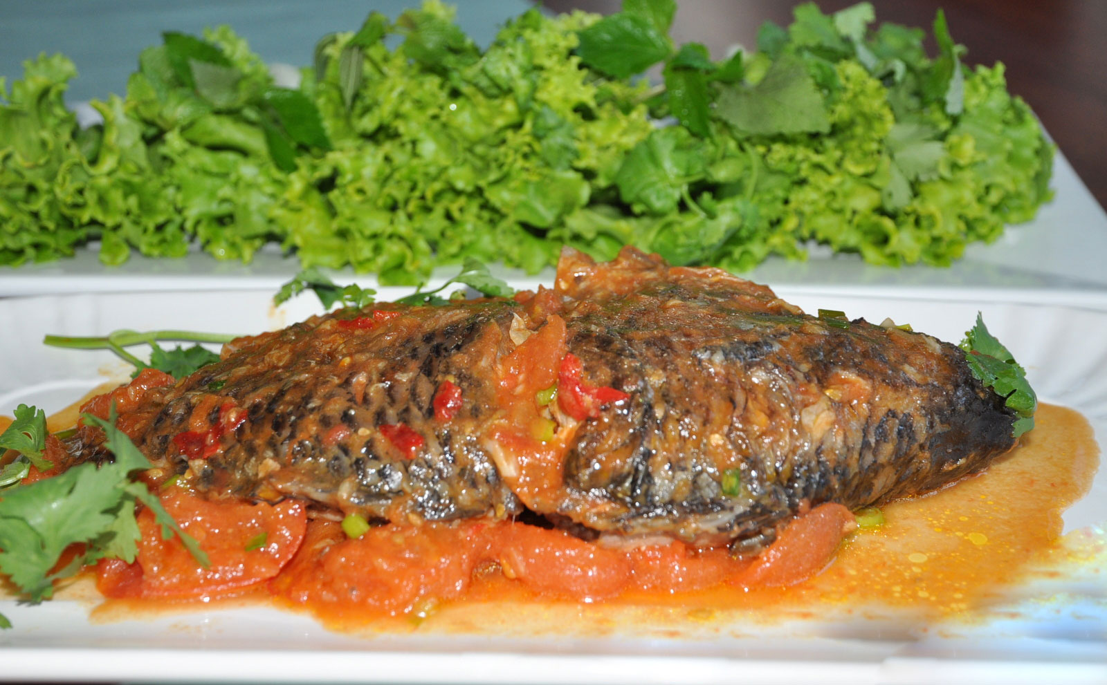 Tilapia with tomato sauce