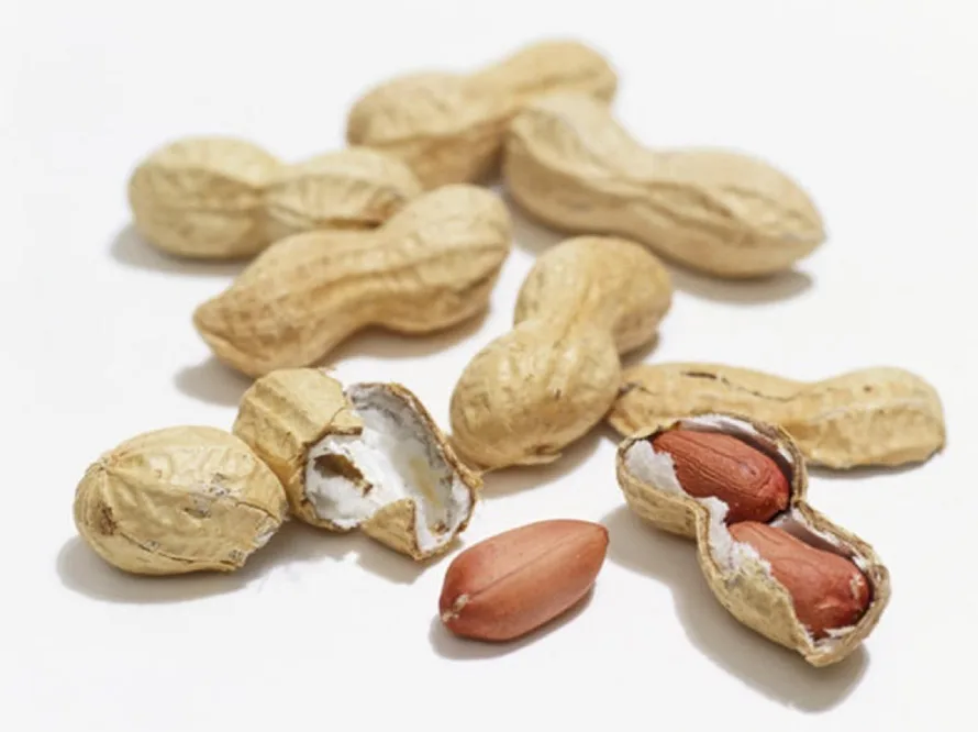 Handy Tips for Storing Food the Healthy Way