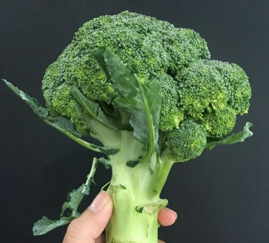 Add These Foods to Your Diet for Ideal Height