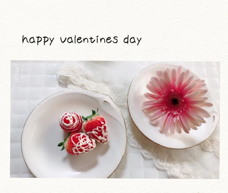 The Meaning of the Valentine's Days of the Year